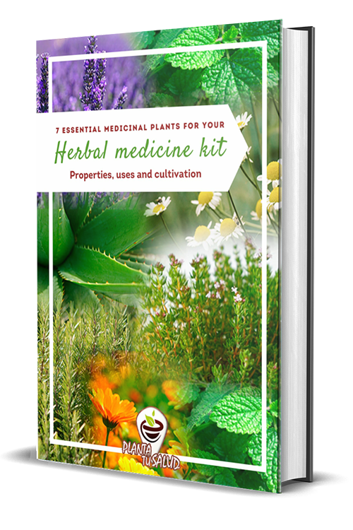 herbal medicine kit