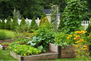 Huerto sostenible con diversas hortalizas y plantas asociadas