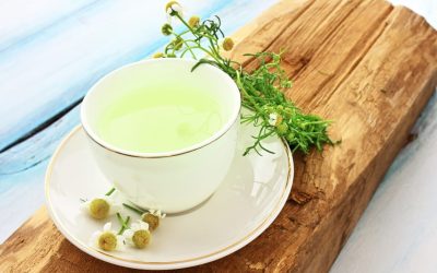 PLANTAS MEDICINALES PARA LA ALERGIA: LISTA COMPLETA