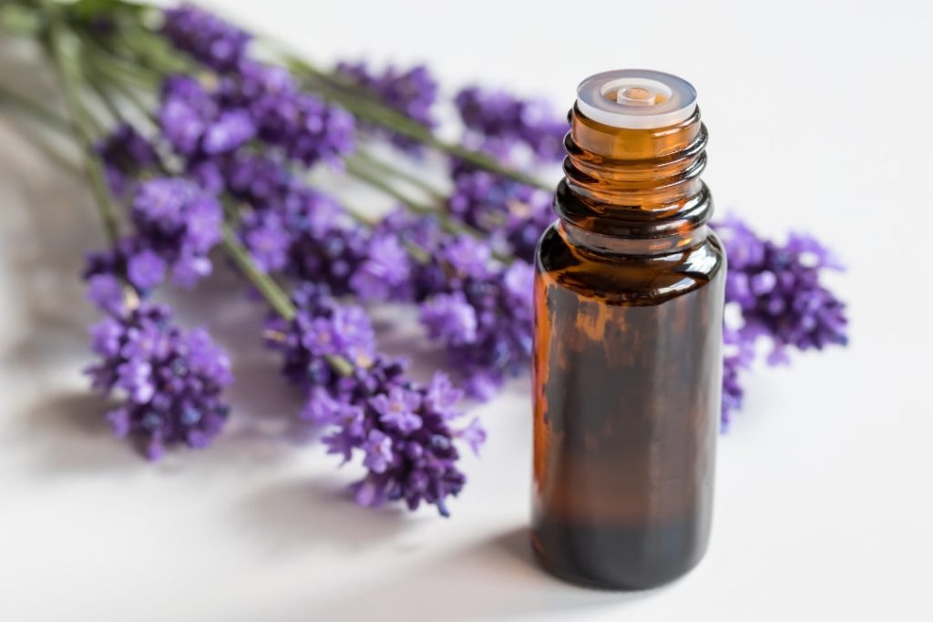 Botella de aceite esencial de lavanda junto a flores frescas