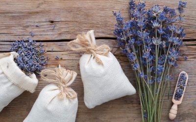 CÓMO PREPARAR Y UTILIZAR LA LAVANDA: 5 REMEDIOS MEDICINALES IMPRESCINDIBLES
