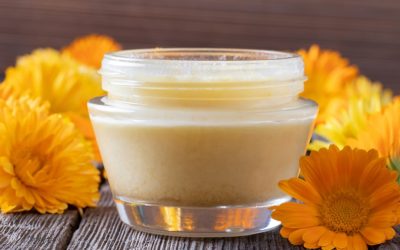 REMEDIOS CASEROS CON PLANTAS MEDICINALES: GUÍA DEFINITIVA