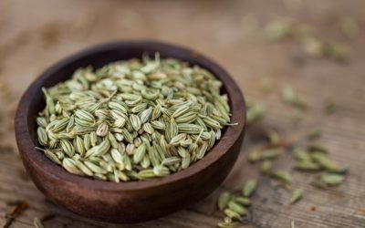 PROPIEDADES DEL HINOJO. CONOCE LOS SECRETOS DE ESTA PLANTA DIGESTIVA